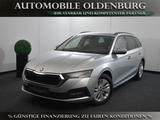 Skoda Octavia Combi 2.0 TDI Ambition *AHK*ACC*Massage* - Skoda Octavia Gebrauchtwagen in Oldenburg