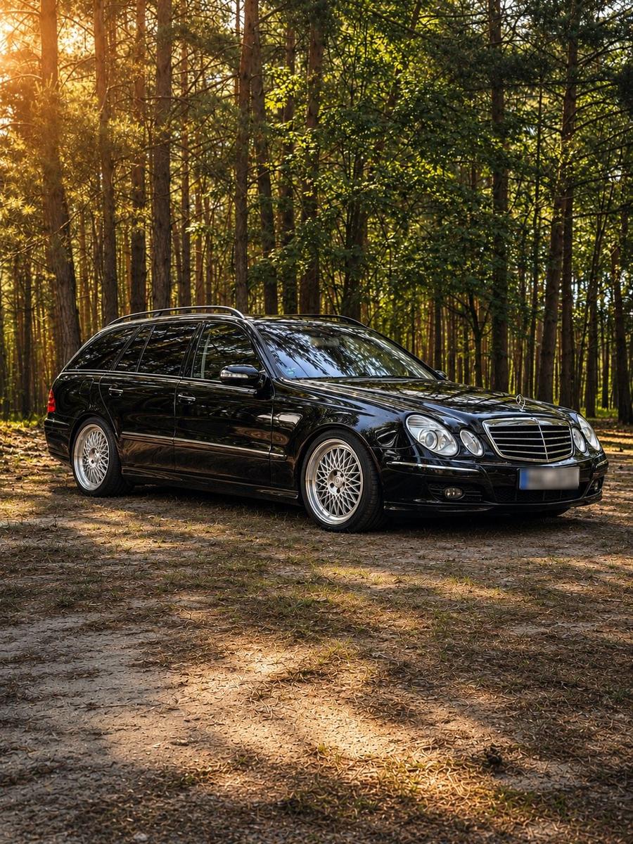Mercedes-Benz E220, 2008