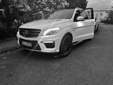 Mercedes-Benz Mercedes Ml 63 AMG Drivers Package - Mercedes-Benz ML 63 AMG aus 2013