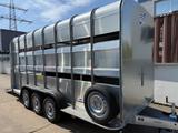 Ifor Williams TA510 16x7Viehanhänger L 493cm x B 175cm x H218 - Ifor Williams LKWs