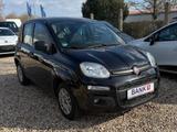 Fiat Panda Easy*Garantie*TÜV+Service Neu* - Fiat Panda in Halle