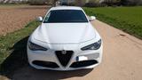 Alfa Romeo Giulia 2.2 Diesel 16V 132 kW Super Super - weiße Alfa Romeo Giulia