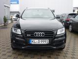 Audi SQ5 3.0 TDI plus quattro  Black Edition WR/SR... - Audi SQ5 mit Diesel-Antrieb: Geländewagen, Automatik