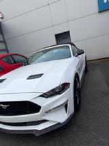 Ford Mustang 5.0 Ti-VCT V8 GT GT - Ford Mustang in Krefeld
