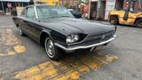 Ford Thunderbird Coupe Top Zustand org.85000 Meilen - Ford Gebrauchtwagen von 1966