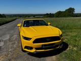 Ford Mustang Cabrio Ecoboost Automatik - Ford Mustang Gebrauchtwagen in Köln