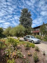 Mercedes-Benz W202 seltene Special Edition 126tkm c180  ... - Mercedes-Benz C-Klasse: Special Edition