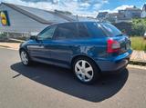 Audi A3 8L, 1.9TDI 131PS, Klima, Sitzheizu... - Audi A3 aus 2002: 1.9