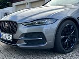 Jaguar XE P250 SE Automatik/Leder/Meridian/Black Pack - Jaguar XE SE mit Benzin-Antrieb
