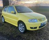 Volkswagen Polo 6N2 Color Concept - Volkswagen Polo: Concept