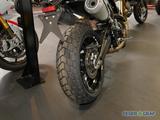 Ducati Scrambler 1100 Sport, Desmo Service frisch - DUCATI SCRAMBLER