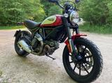 Ducati Scrambler Icon 800 Desmo Service schon erledigt - DUCATI E SCRAMBLER
