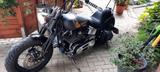 Harley-Davidson Coustombike 
