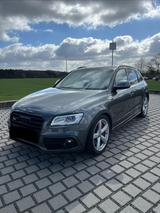 Audi SQ5 3.0 TDI competition tiptronic quattro - - Audi SQ5 mit Diesel-Antrieb: Grau, Geländewagen