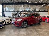 BMW X1 23 d xDrive *M-Sport*AHK*Panorama*Navi*Xenon* - BMW X1: Rot