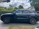 Porsche Cayenne Panoramadach Luftfederung - Porsche Cayenne: Panoramadach