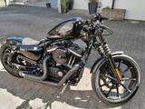 Harley-Davidson HD Iron 883 - Angebote