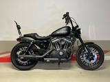 Harley-Davidson Sportster Roadster XL 1200 CX - HARLEY-DAVIDSON ROADSTER 1200