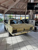 Ford Ford Mustang, Klassiker im Top Zustand! - Ford aus 1967