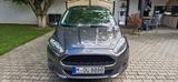 Ford Fiesta 1,0 EcoBoost 74kW S/S Celebration Cel... - Ford Fiesta Gebrauchtwagen in München