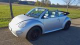 Volkswagen VW Beetle Cabrio zu verkaufen - Volkswagen Beetle aus 2003: Cabrio
