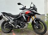 Triumph Tiger Rally Pro 900 - TRIUMPH TIGER 900