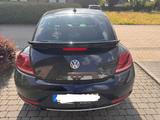 Volkswagen Beetle 1.2 TSI DSG BMT Design - Volkswagen Beetle aus 2016