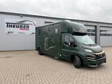 Fiat Ducato  EXKLUSIVE Hengstmodel