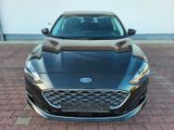 Ford Focus 2,0 EcoBlue 110kW Vignale Auto Vignale - Ford Focus mit Diesel-Antrieb: Leder, Navigationssystem, Limousine