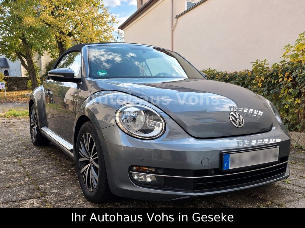 Image of Volkswagen Beetle