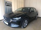 Mazda CX-30 SKYACTIV-G 2.0 M Hybrid 6AG SELECTION A18 - Mazda CX-30 Gebrauchtwagen in Berlin