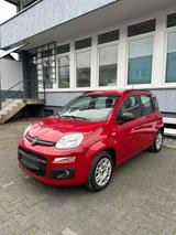 Fiat Panda 1.2 4-Zyl. | Insp. & Tüv NEU | ... - Fiat Panda Gebrauchtwagen in Düsseldorf