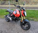 Honda MSX125 Grom, NUR 614 Km, TOP! - HONDA MSX 125