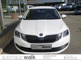 Skoda Octavia Combi 1.5 TSI Soleil NAVI LED GRA - Skoda Vorführfahrzeuge