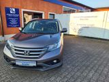 Honda CR-V Executive 4WD Panodach NUR29.900km - Honda: Cr4