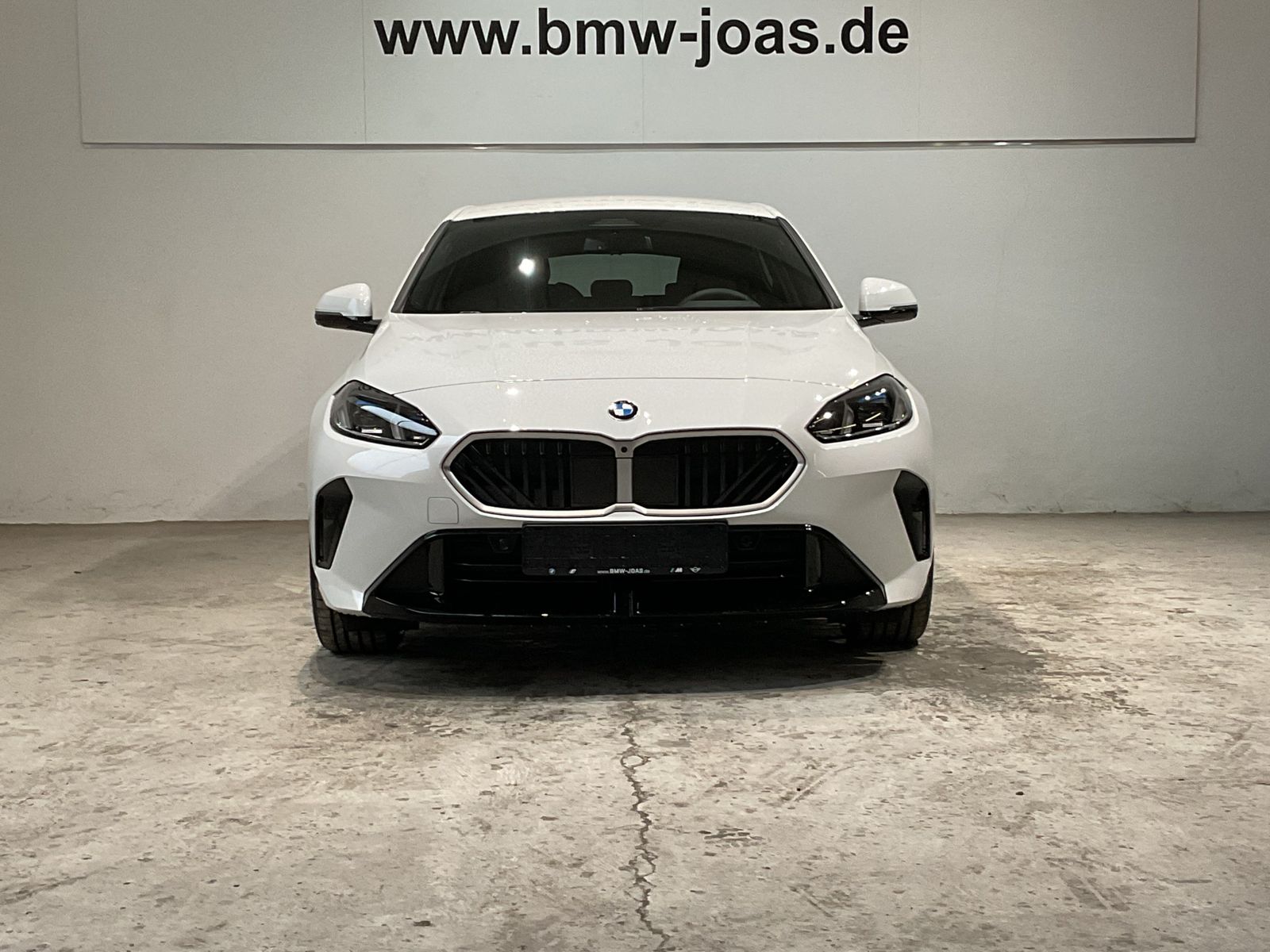 Fahrzeugabbildung BMW 120 Komfortzugang, AHK, 19" M LMR M Sportpaket