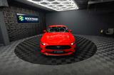 Ford Mustang Shelby GT 500 5.0 V8 Performance 20 Zoll - Ford Mustang: Coupe, Shelby Gt500