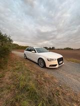 Audi A4 B8.5 2.0 TDI Quattro - Audi A4 mit Diesel-Antrieb: Kombi, 2.5