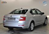 Skoda Octavia 1.8 TSI 179PS Lim. Ambition 4x4 DSG Navi - Skoda Octavia Gebrauchtwagen in Dresden