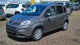 Fiat Panda 1,0 MildHybrid - Fiat Panda Gebrauchtwagen in Augsburg