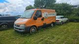 Fiat Ducato Transporter - Fiat: Transporter
