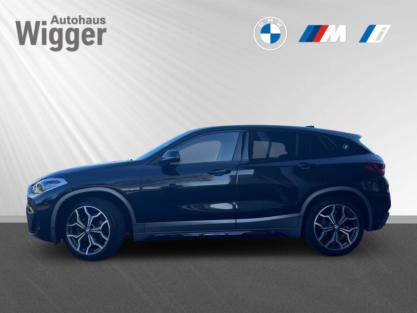 BMW X2 sDrive 18d M Sport X Navigation Sound LED GRA foto 2