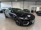 Jaguar XF P250 SE Navi|LED|Leder|Keyless|Kamera|Memory - Jaguar XF: Se