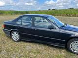 BMW E36 325TD Schaltwagen Diesel 325 TD Bj... - BMW 325: 325td