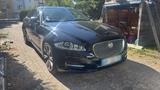 Jaguar xJ 5.0 Benzin 385ps - Jaguar Gebrauchtwagen von 2011