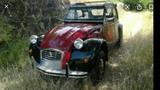 Citroën 2CV Charleston  fachgerecht resta... - Citroën 2 CV: Charleston