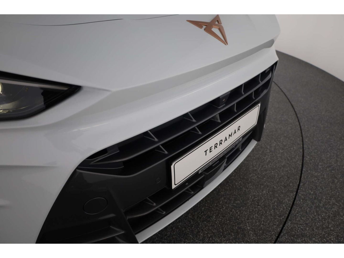 Cupra Terramar - Bild 31