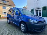 Volkswagen Caddy 1,2TSI 63kW Roncalli Startline 5-Sitze... - Volkswagen Caddy: Startline