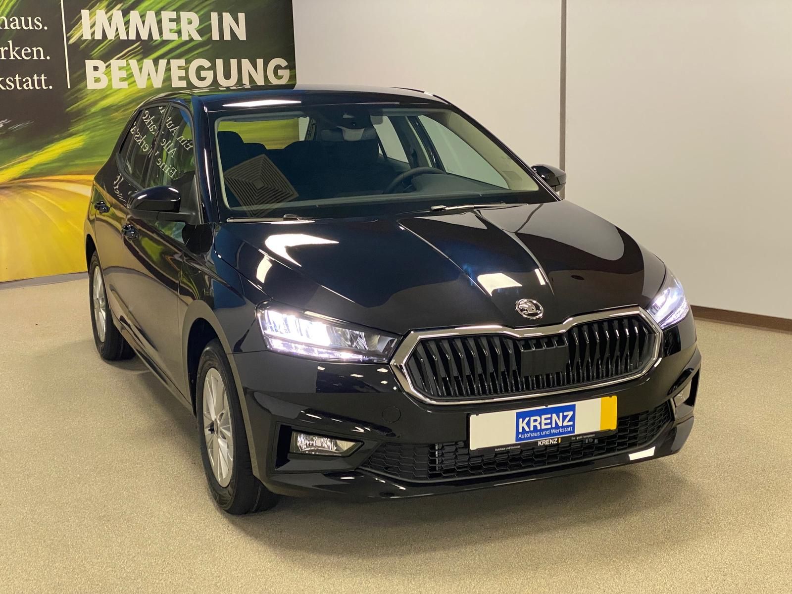 Fahrzeugabbildung SKODA Fabia 1.0 TSI DSG Selection APP+RFK+KLIMA+GA2031