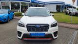 Subaru Forester Edition Sport 40 - Subaru Forester: Sport